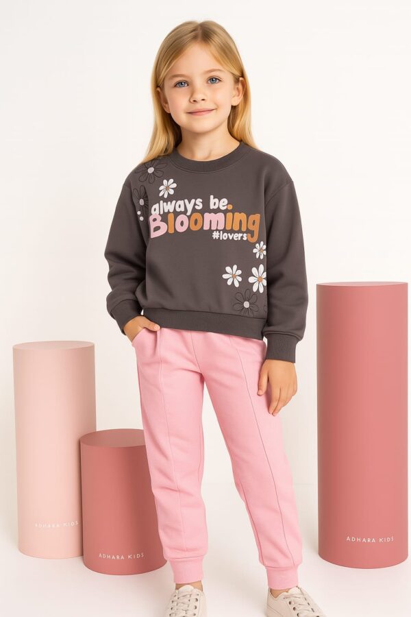 5b6480af-c02e-407d-b6b3-36d995644e2c