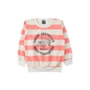 conjunto-infantil-masculino-moletom-peluciado-wild-life-good-boy-7